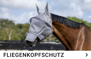 insektenschutz kachelmenue